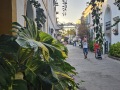 GranCanaria007