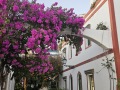 GranCanaria014