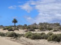 GranCanaria025