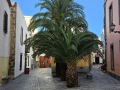 GranCanaria038