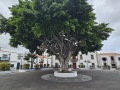 GranCanaria068