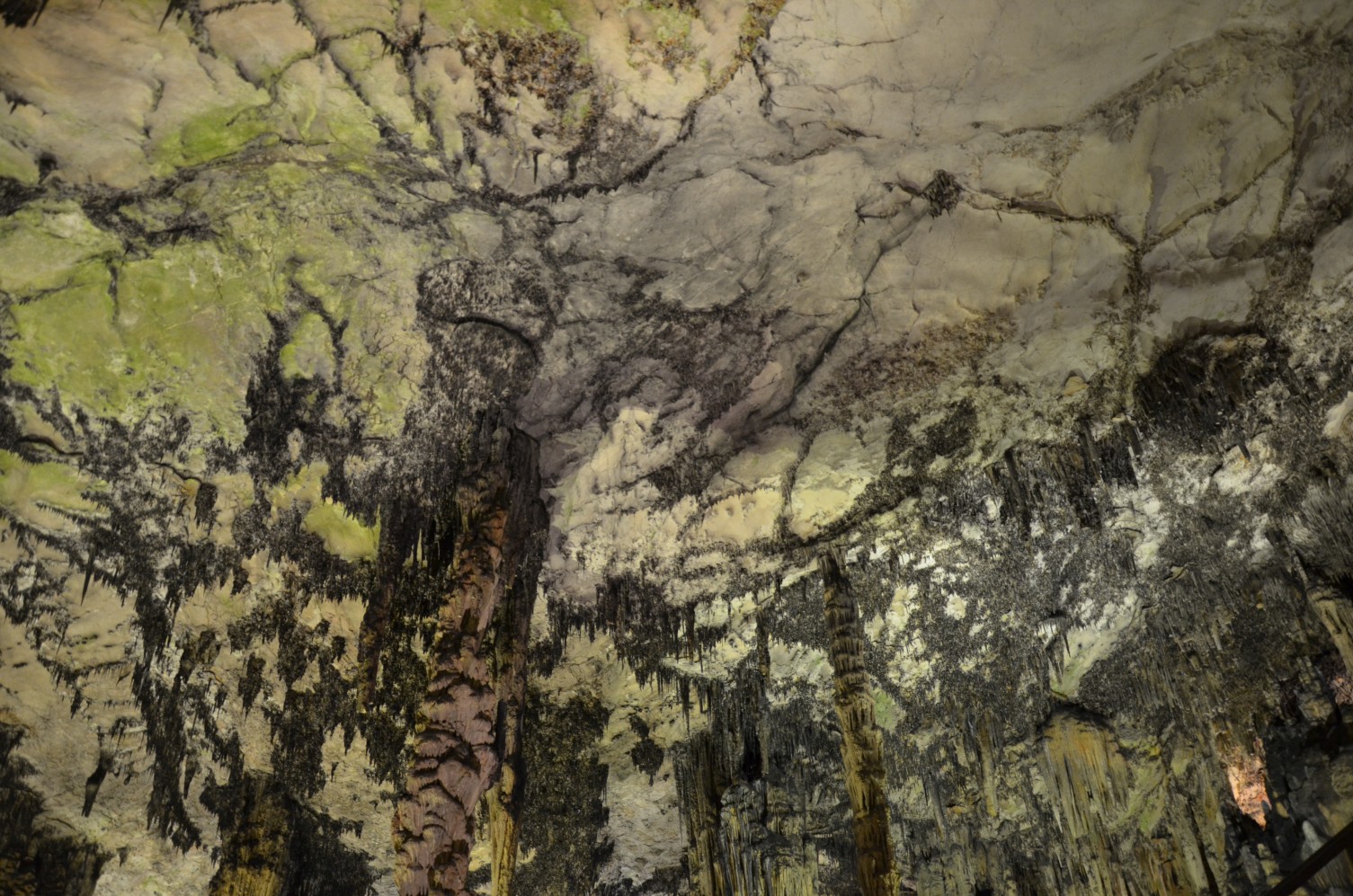 Majorka-Cuevas-de-Arta012