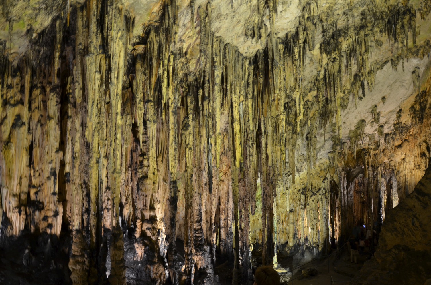 Majorka-Cuevas-de-Arta015