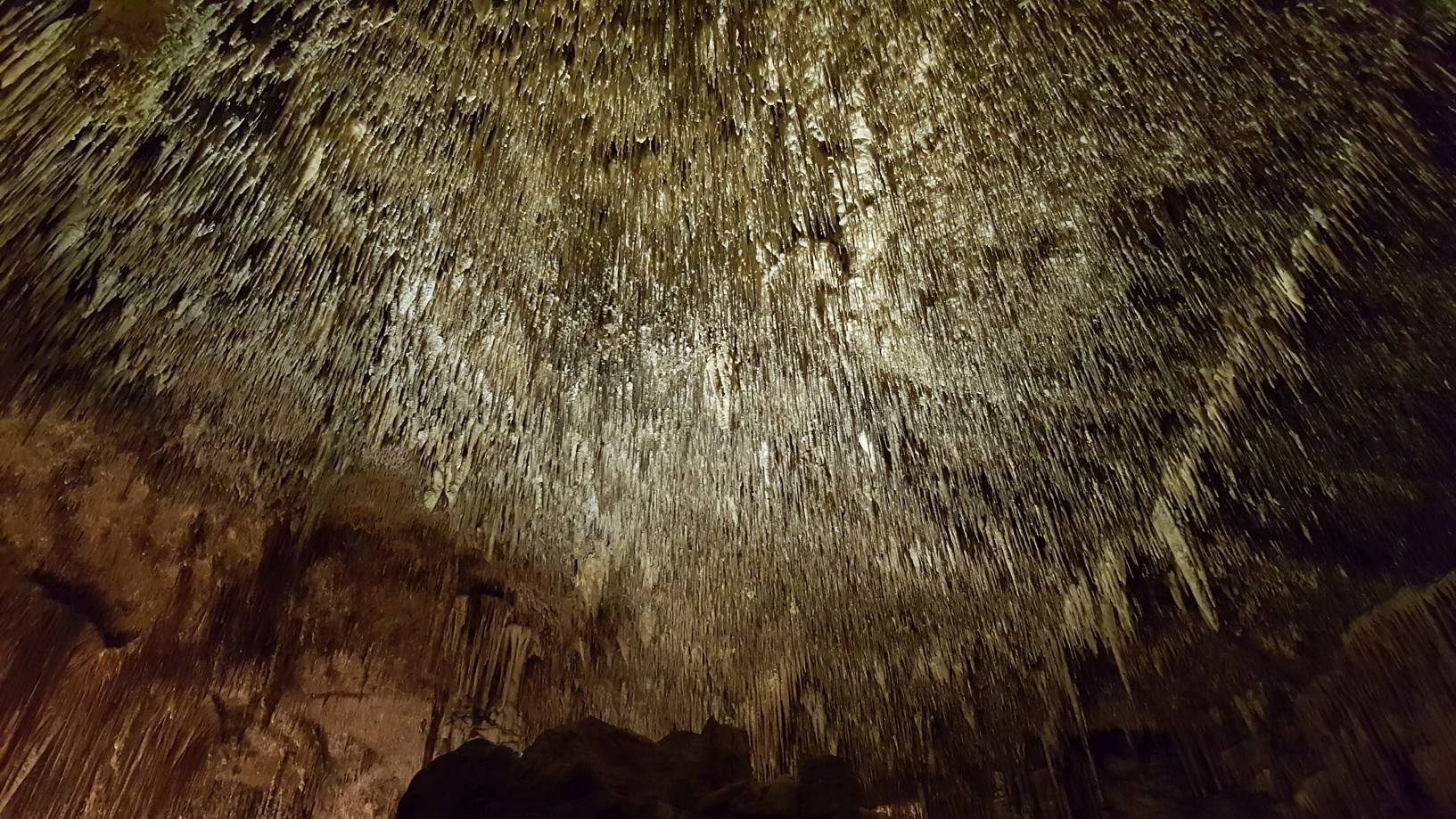 Majorka-Cuevas-del-Drach016