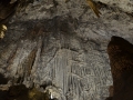 Majorka-Cuevas-de-Arta023