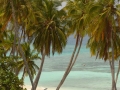 Malediwy041.jpg