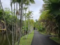 Mauritius027