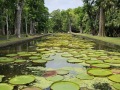 Mauritius032