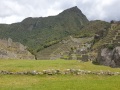 Peru259