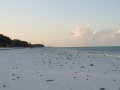 Zanzibar035