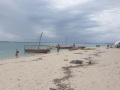 Zanzibar201